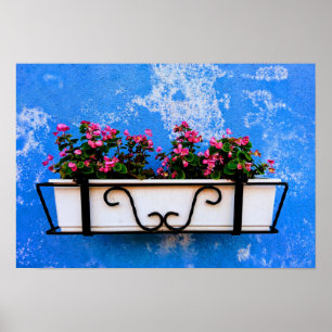 Roze roze bloemdoos tegen blauwe  wand poster