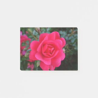 roze roze bloemfotografie post-it® notes