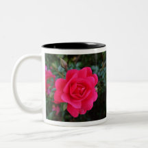 roze roze bloemfotografie