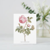  roze roze botanische afdrukken briefkaart (Staand voorkant)