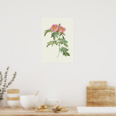  roze roze botanische afdrukken poster (Keuken)