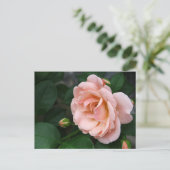 Roze roze Briefkaarten (Staand voorkant)