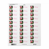 Roze Roze Bud Mailing Labels (Full Sheet)