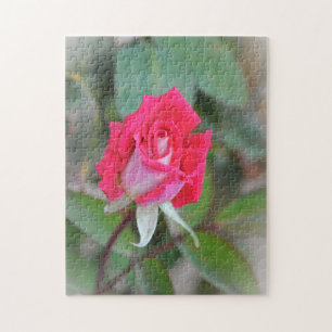 Roze Roze Bud Tuin Kunst Puzzel