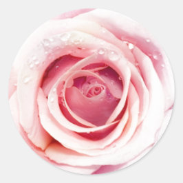 Roze roze cirkelvormige Stickers