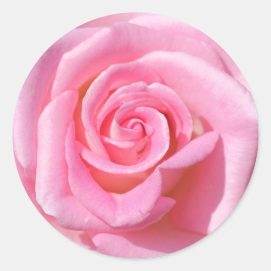 Roze roze cirkelvormige Stickers (Voorkant)