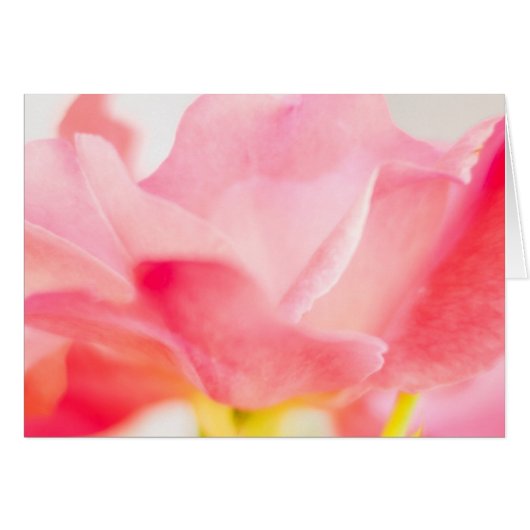 Roze Roze Fine Art Flower Greet Note Card (Voorkant Horizontaal)