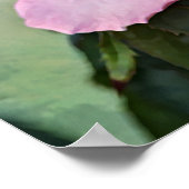 Roze roze fotografische kunst afdrukken poster (Hoek)