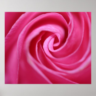 Roze roze klaver poster