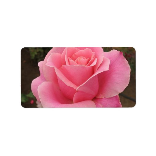 Roze roze label (Voorkant)