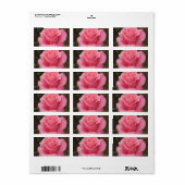 Roze roze label (Full Sheet)
