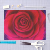 Roze roze loskoppeling Sluiten Floral Tissuepapier (Craft)