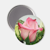 Roze roze magneet (Voorkant / Achterkant)