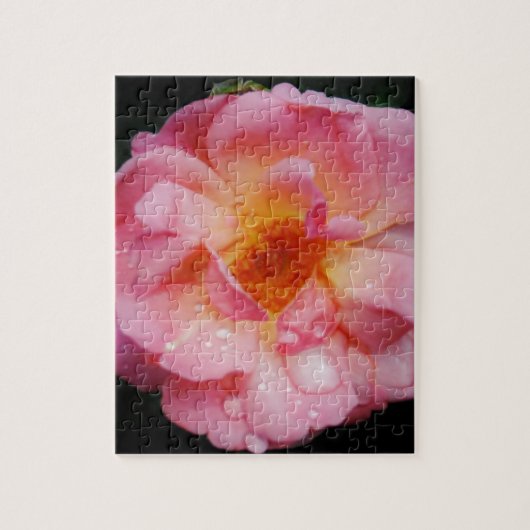 Roze roze met dauwdruppels zwarte achtergrond legpuzzel (Verticaal)