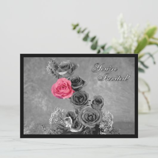 Roze roze met zwarte en witte achtergrond (Staand voorkant)