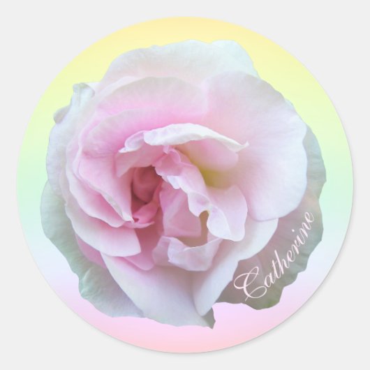 Roze roze op pasta aangepast ronde sticker (Voorkant)