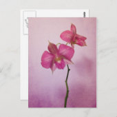 Roze roze orchidee bloesems Briefkaart (Voorkant / Achterkant)