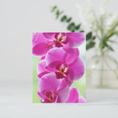 roze roze orchideeën briefkaart (Staand voorkant)