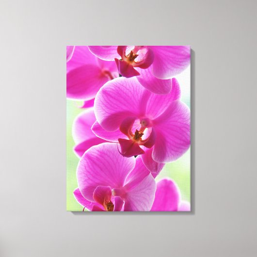 roze roze orchideeën canvas afdruk (Voorkant)