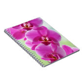 roze roze orchideeën notitieboek (Rechterzijde)