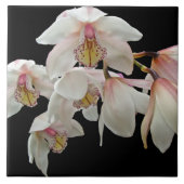 Roze roze orchideeën op zwart tegeltje (Voorkant)