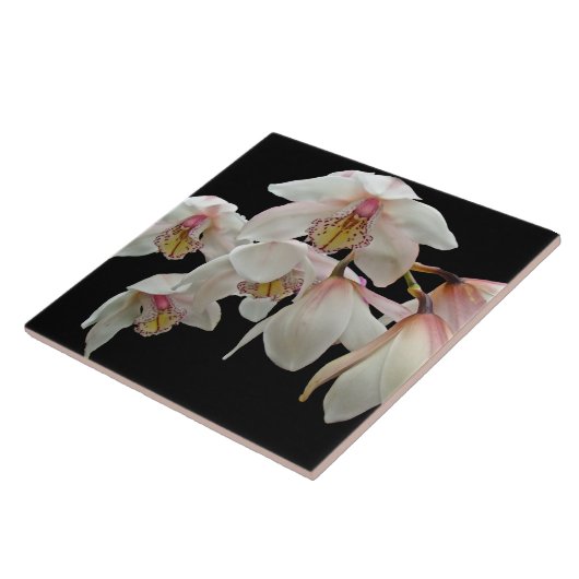 Roze roze orchideeën op zwart tegeltje (Zijkant)