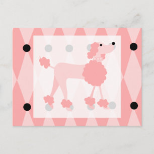 Roze Roze Podle Briefkaart