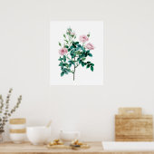 Roze roze poster (Keuken)