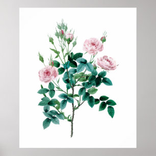 Roze roze poster