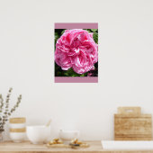 Roze roze Poster voor vuilnisbak (Keuken)