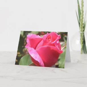 Roze roze roodroze bloemkool - ventilatorkaartjes  kaart