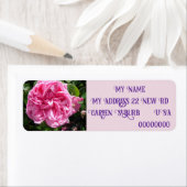 roze roze Roos foto Retouradres labels (Insitu)