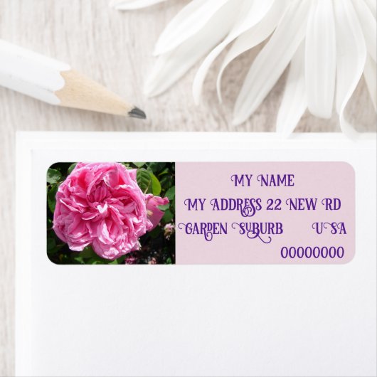 roze roze Roos foto Retouradres labels (Insitu)