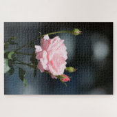 roze roze roos legpuzzel (Horizontaal)