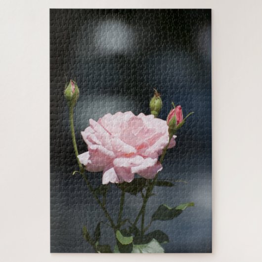 roze roze roos legpuzzel (Verticaal)