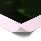 roze roze roos poster (Hoek)