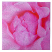 roze roze roos tegeltje (Voorkant)