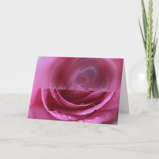 roze roze roos zacht dia de las madres kaart (Voorkant)