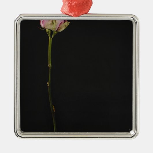 Roze roze roze 3 metalen ornament (Voorkant)