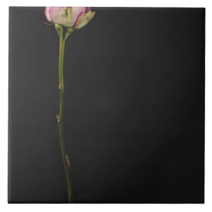 Roze roze roze 3 tegeltje