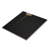 Roze roze roze 3 tegeltje (Zijkant)