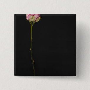 Roze roze roze 3 vierkante button 5,1 cm