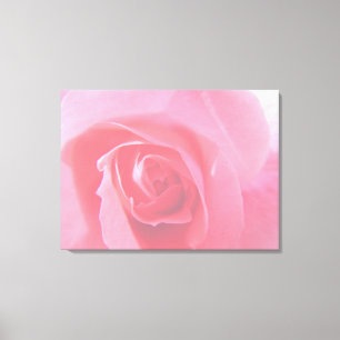 Roze roze roze afbeelding voor de rozenbloem. canvas afdruk