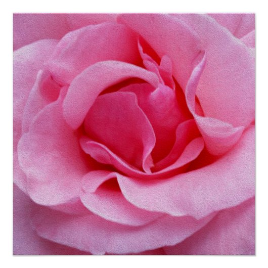 Roze roze roze bladen perfect poster (Voorkant)