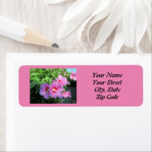  roze roze roze foto van Sharon Etiket (Insitu)