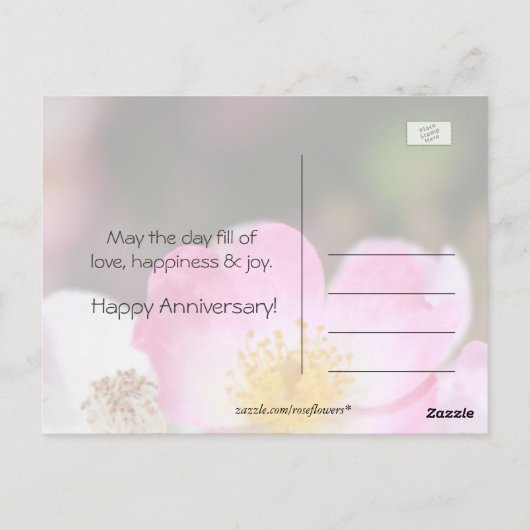  roze roze roze roodbloem briefkaart (Achterkant)