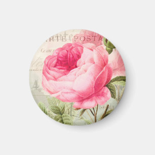 Roze roze roze roze magneet