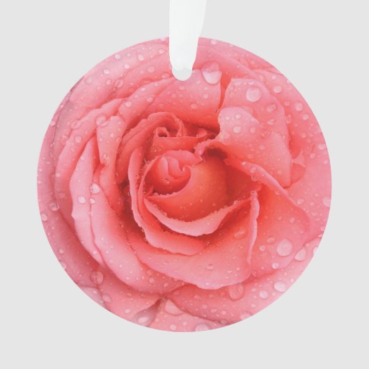 Roze roze roze roze rooddruppels ornament (voorkant)