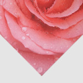 Roze roze roze roze rooddruppels tissuepapier (Detail)