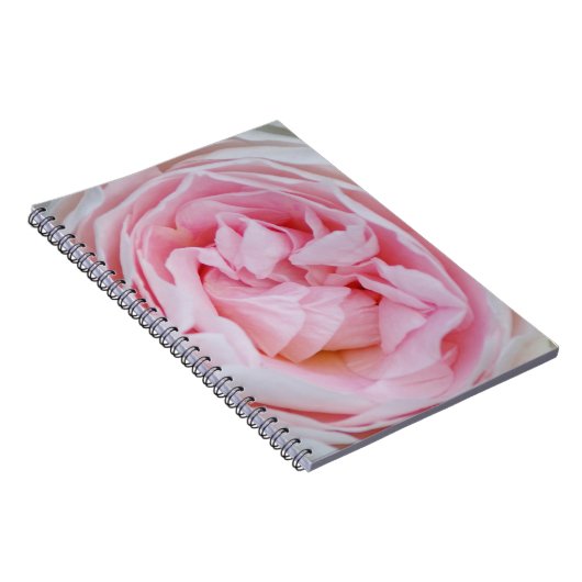 Roze roze roze roze roze rozen rosebud petaalventi notitieboek (Rechterzijde)